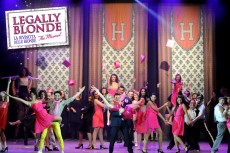 LEGALLYBLONDE_Celebrazioni-Bologna-schedaEvento-photogallery2_preview