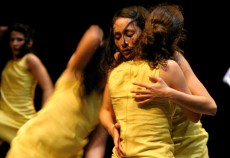 foto di Gian Maria Musarra
compagnia zappalà danza
"24 préludes"
coreografie Roberto Zappalà
Musiche Fredeic Chopin
interpreti Daniela Bendini, Anna Bussey, 
Veronica Cornacchini, Hilde Elbers, 
Samantha Franchini, Wei Meng Poon, 
Geneviève Osborne, Paola Valenti
Prima assoluta: 14 gennaio 2007 Teatro Giuditta Pasta di Saronno